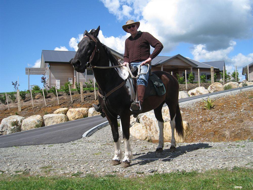 Kaimai Country Lodgeカティカティ エクステリア 写真
