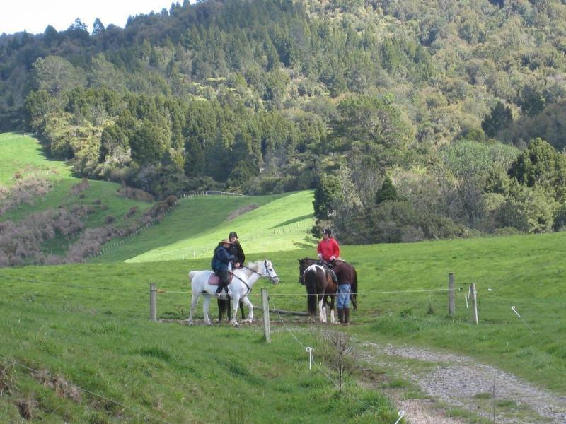 Kaimai Country Lodgeカティカティ エクステリア 写真