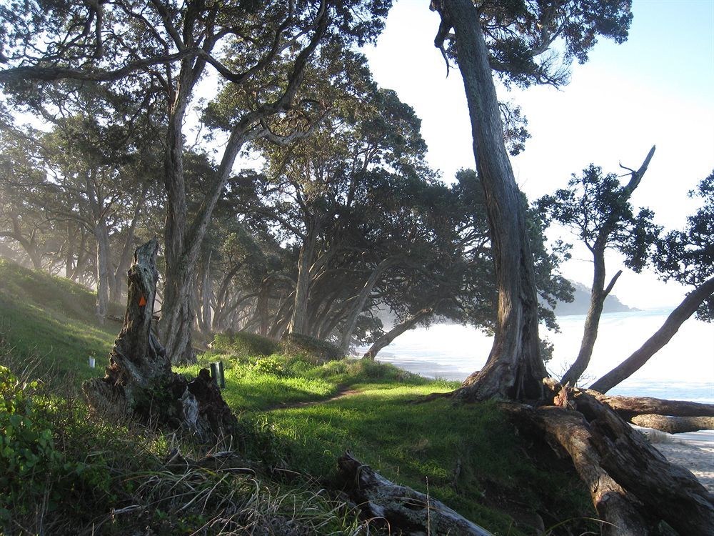 Kaimai Country Lodgeカティカティ エクステリア 写真