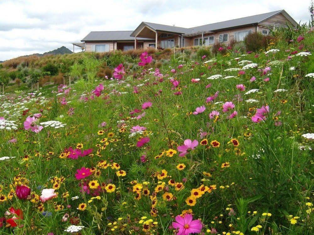 Kaimai Country Lodgeカティカティ エクステリア 写真