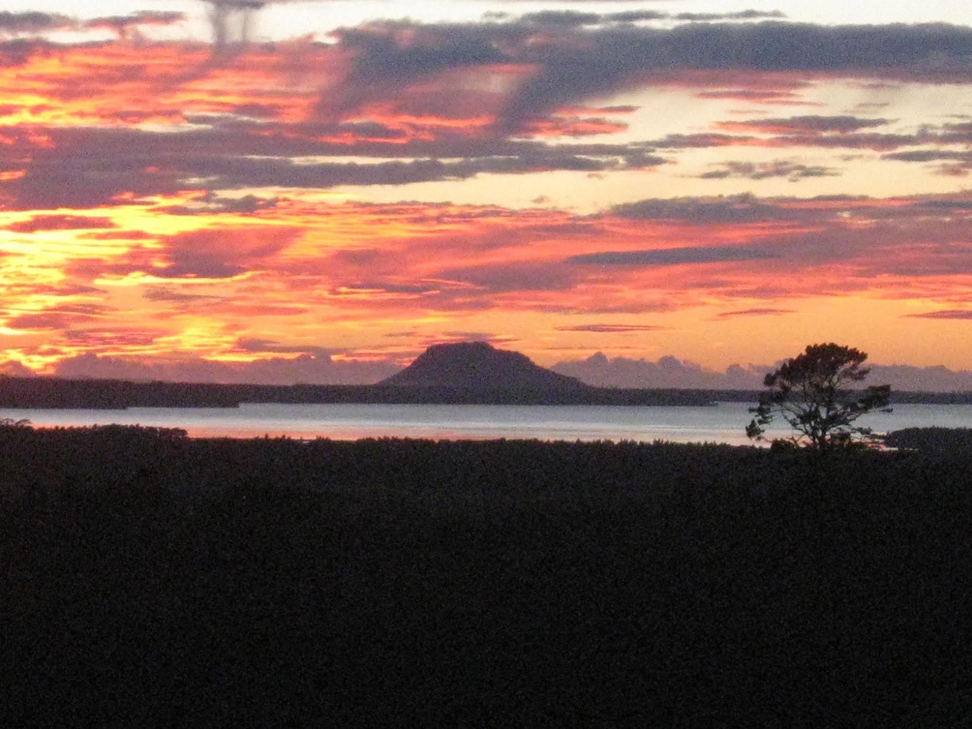 Kaimai Country Lodgeカティカティ エクステリア 写真